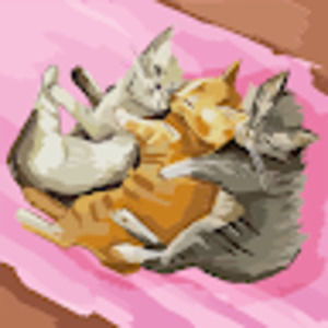 Meet your Posher, Maya